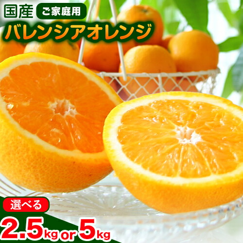 【ふるさと納税】【2025年分先行予約】国産 バレンシアオレンジ ご家庭用 選べる 約2.5kg 約5kg 主井農園《6月上旬-8月中旬頃出荷》 和歌山県 日高町 果物 フルーツ オレンジ バレンシア おれんじ みかん 柑橘  送料無料