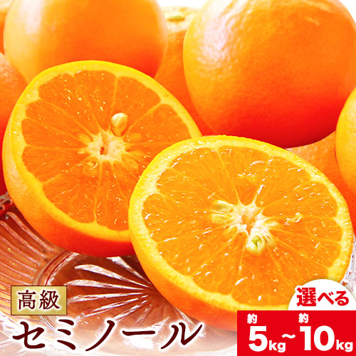 【ふるさと納税】柑橘 高級セミノール 選べる 約 5kg 約 10kg 主井農園《4月下旬-5月下旬頃出荷》 和歌山県 日高町 セミノール オレンジ みかん 柑橘 高級 希少 送料無料