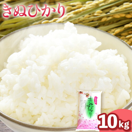 【ふるさと納税】令和7年産 米 きぬひかり 10kg スマイル 《30日以内に出荷予定(土日祝除く)》 和歌山県 日高町 米 お米 こめ コメ きぬひかり キヌヒカリ 送料無料｜和歌山県日高町 14,040円