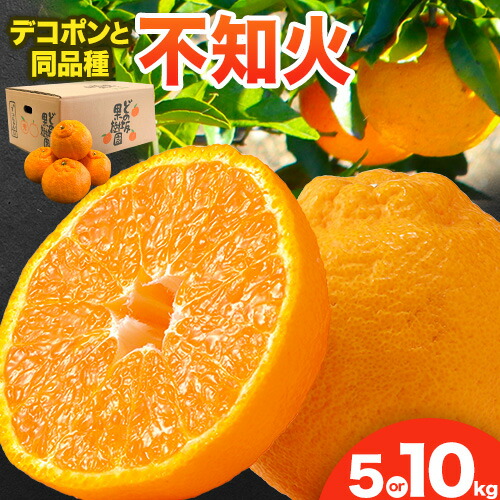 【ふるさと納税】不知火 ( デコポン と同品種 ) しらぬい 約 5kg  または 約 10kg (L～5Lサイズ) どの坂果樹園《2026年2月中旬-4月上旬頃出荷》 和歌山県 日高町 しらぬい 不知火 デコポン でこぽん 旬 果物 フルーツ 柑橘 産地直送 送料無料