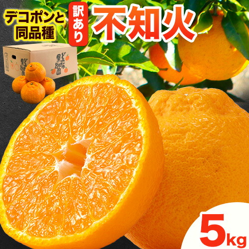 【ふるさと納税】訳あり 不知火 ( デコポン と同品種 ) しらぬい 約 5kg (M～5Lサイズ) どの坂果樹園《2026年2月上旬-4月上旬頃出荷》 和歌山県 日高町 しらぬい でこぽん 旬 果物 フルーツ 柑橘 訳あり不知火 訳ありデコポン 訳ありしらぬい