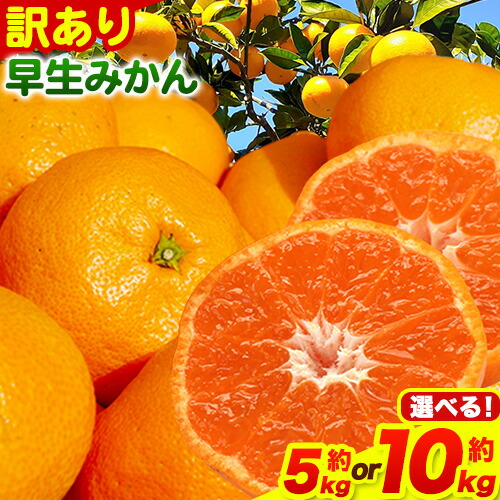 【ふるさと納税】みかん 和歌山 訳あり 早生 みかん 選べる 5kg 10kg ( サイズ おまかせ ) どの坂果樹園《12月上旬-1月末頃出荷予定》 和歌山県 日高町 産地直送 家庭用 規格外 不揃い 果物 柑橘 サイズ 不選別 訳ありみかん  わけありみかん