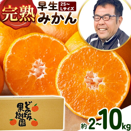 【ふるさと納税】【先行予約】早生みかん サイズおまかせ  選べる 内容量 約 5kg 約10kgどの坂果樹園《12月上旬-1月末頃出荷予定》和歌山県 日高町 みかん 早生 旬 柑橘 フルーツ 果物 蜜柑 ミカン
