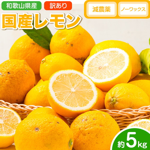 【ふるさと納税】国産レモン ノーワックス 減農薬 訳あり レモン 5kg (サイズ混合) どの坂果樹園《2027年2月上旬-6月末頃出荷》 和歌山県 日高町 レモン れもん 檸檬 家庭用 旬 新鮮 果物 柑橘 フルーツ 訳あり 大容量 Lemon lemon 送料無料 規格外 傷あり｜和歌山県日高町