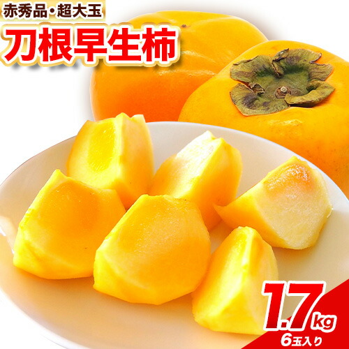 【ふるさと納税】赤秀品 超大玉 刀根早生柿 約 1.7kg 6玉 道の駅 くしがきの里《2025年9月中旬-11月上旬頃出荷》 和歌山県 日高町 果物 フルーツ 柿 かき 早生柿 旬