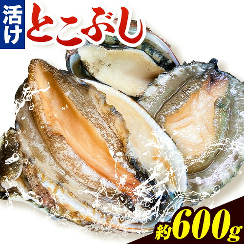 【ふるさと納税】とこぶし 活け 約600g 比井崎漁業協同組合《6月上旬-8月中旬頃出荷》和歌山県 日高町 とこぶし 生もの 海鮮 貝 和歌山県産 冷蔵 流れ子 ながれこ ナガレコ｜和歌山県日高町