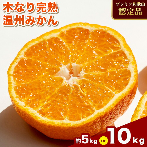 【ふるさと納税】濃厚完熟 木成り温州 みかん 選べる 約 5kg 10kg ミックスサイズ 和歌山県産 まるまつ農園《2026年12月上旬-2027年1月末頃出荷》 和歌山県 日高町 温州みかん みかん 完熟｜和歌山県日高町