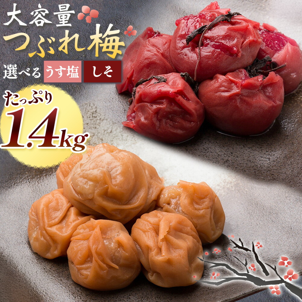【ふるさと納税】梅干し 紀州南高梅 つぶれ梅 大容量 花 うす塩 しそ 1.4kg 700g &times;2パック 《60日以内に出荷予定(土日祝除く)》 株式会社やまだ 和歌山県 日高町 梅 塩 梅干 うめぼし 米 おかず しそ漬 国産 送料無料｜和歌山県日高町 9,750円