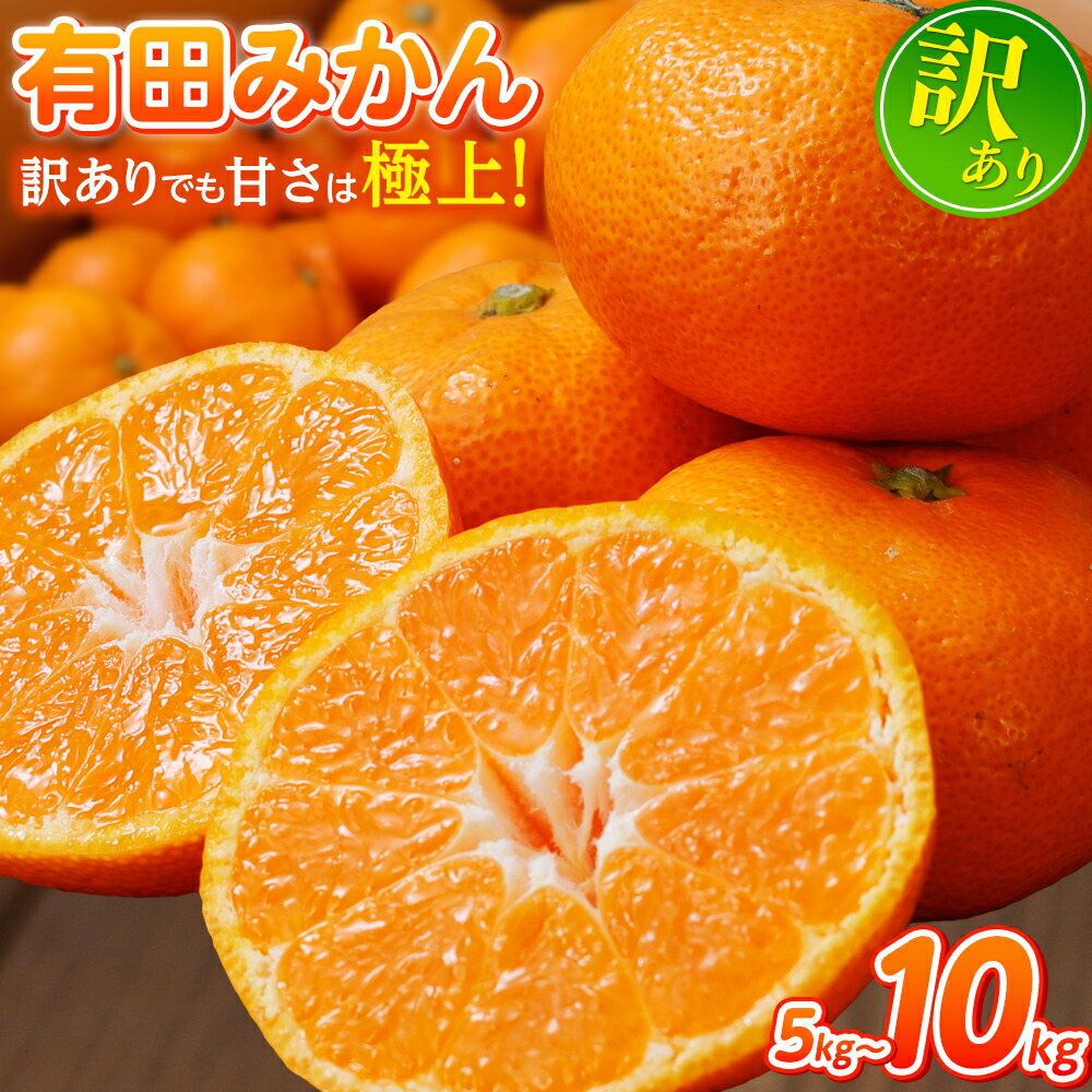【ふるさと納税】 農家直送 有田 みかん 訳あり 光センサー 選別 / 温州みかん 有田みかん 甘い 家庭用 和歌山 柑橘 5kg 10000円 ※2026年11月中旬~2027年1月中旬に順次発送 ※北海道・沖縄・離島への配送不可 //best