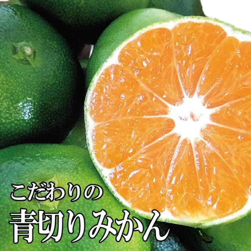 【ふるさと納税】 こだわりの 青切り みかん / 極早生 極早生みかん 温州みかん 甘い 家庭用 和歌山 由良町 柑橘 5kg 10kg 6000円 9000円 ※2026年9月下旬～10月順次発送予定（お届け日指定不可） ※北海道・沖縄・離島への配送不可