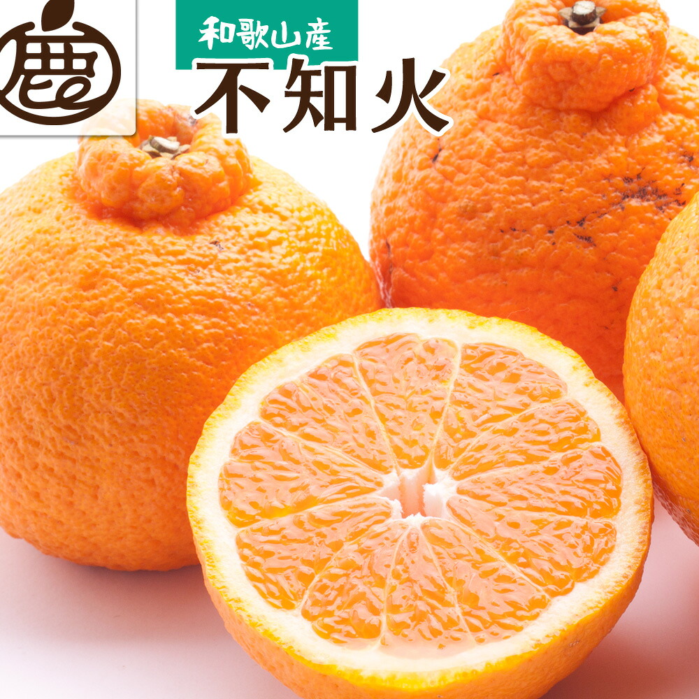 【ふるさと納税】 不知火 厳選 / みかん しらぬい 光センサー 選別 デコポン 柑橘 晩柑 和歌山 甘い 8000円 / 1kg 2.5kg 5kg 7.5kg 10kg ※2027年2月上旬～4月上旬ごろに順次発送予定 ※北海道・沖縄・離島への配送不可｜和歌山県由良町 16,100円
