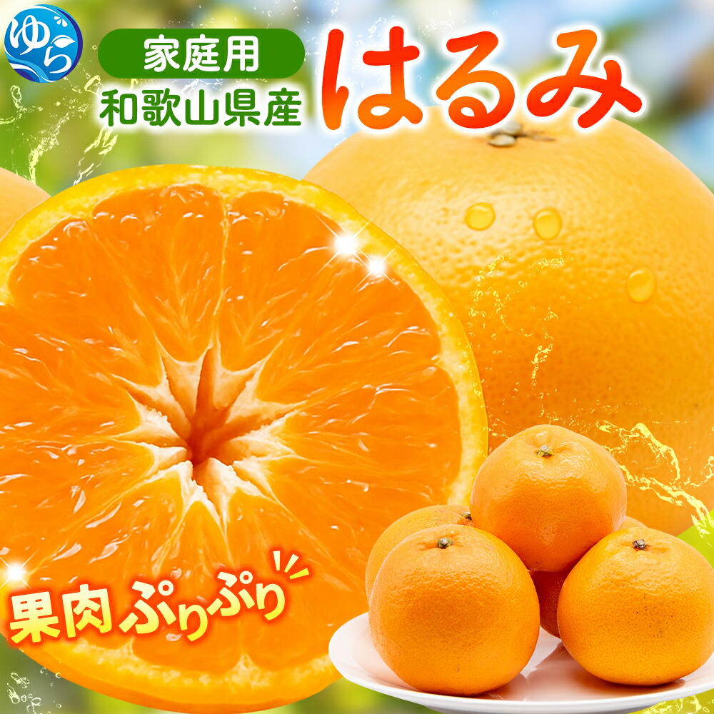 【ふるさと納税】 はるみ みかん 家庭用 / 訳あり 柑橘 晩柑 和歌山 甘い 5000円 / 1kg 2.5kg 5kg 7.5kg 10kg ※2027年2月上旬～3月下旬ごろに順次発送予定 ※北海道・沖縄・離島への配送不可｜和歌山県由良町