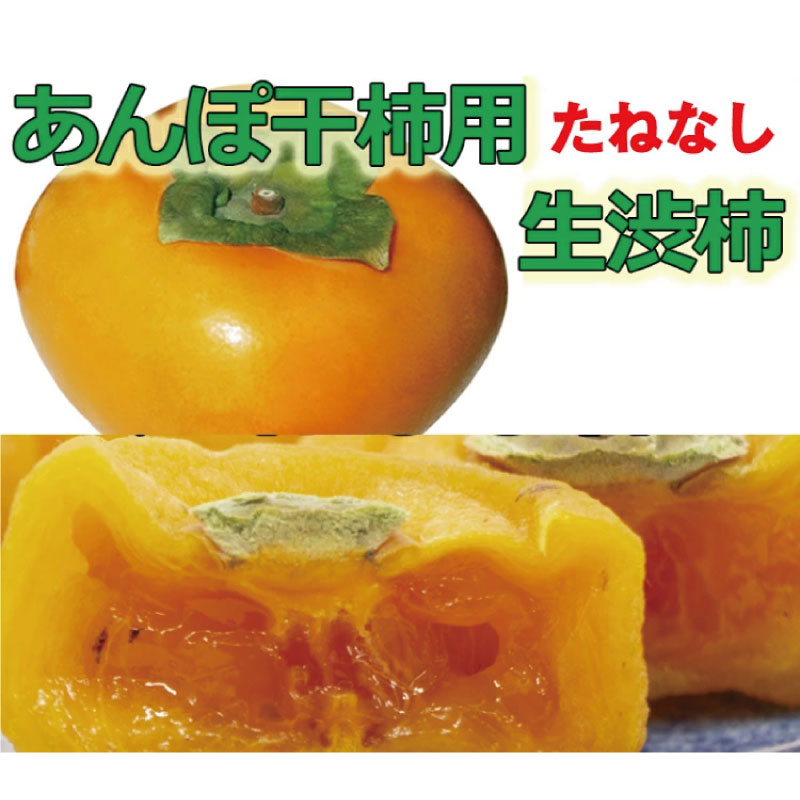 【ふるさと納税】生渋柿たね無 あんぽ柿用T軸枝無約4.5～5kg　約24～30個＜2025年10月中旬～11月上旬ごろ順次発送＞【ART16】 | フルーツ 果物 くだもの 食品 人気 おすすめ 送料無料