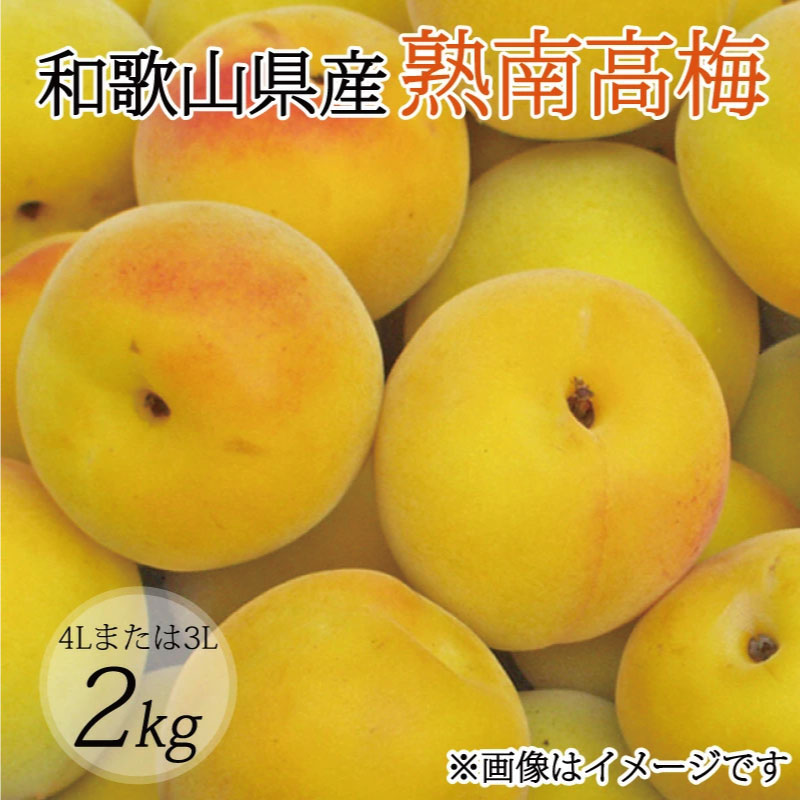 【ふるさと納税】【梅干・梅酒用】（4Lまたは3L－2Kg）熟南高梅＜2025年6月上旬～7月7日発送予定＞フルーツ 果物 くだもの 食品 人気 おすすめ 送料無料【ART10】
