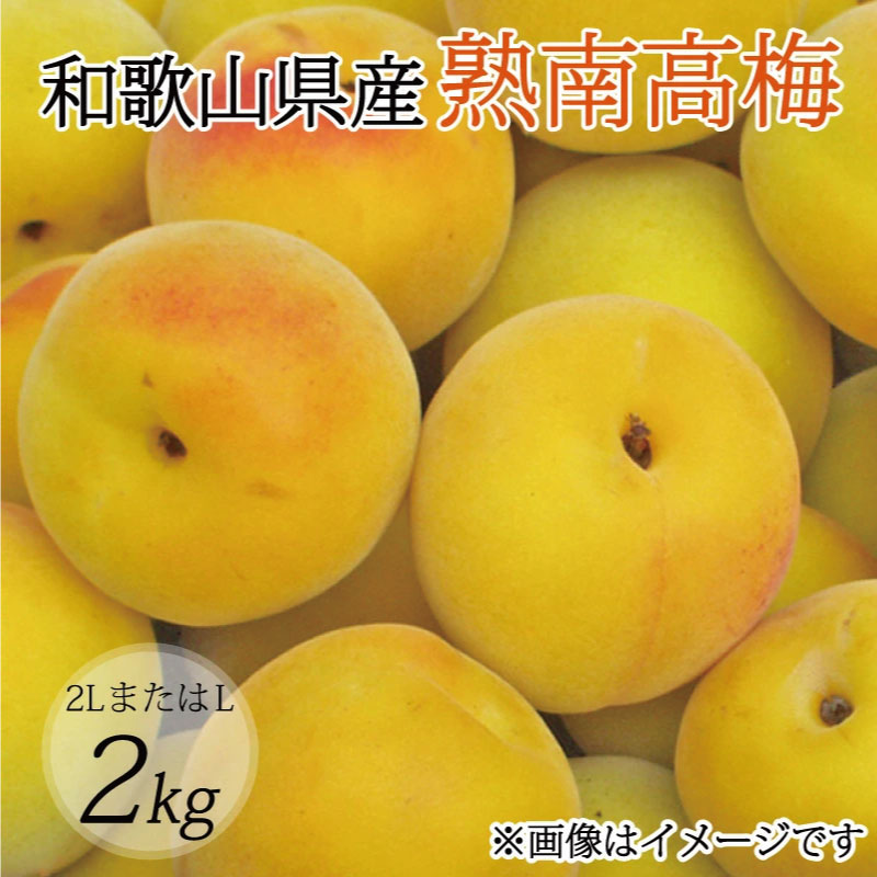 【ふるさと納税】【梅干・梅酒用】（2LまたはL－2Kg）熟南高梅＜2025年6月上旬～7月7日発送予定＞フルーツ 果物 くだもの 食品 人気 おすすめ 送料無料【ART04】