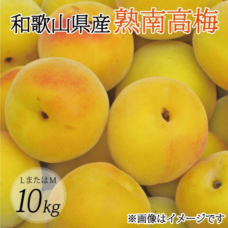【ふるさと納税】【梅干・梅酒用】（LまたはM－10Kg）熟南高梅＜2025年6月上旬～7月7日発送予定＞フルーツ 果物 くだもの 食品 人気 おすすめ 送料無料【ART08】
