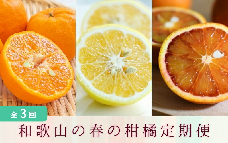 【ふるさと納税】【全3回】 【2月・3月・4月発送】 和歌山の春の柑橘 （ポンカン・はるか・ブラッドオレンジ）秀品