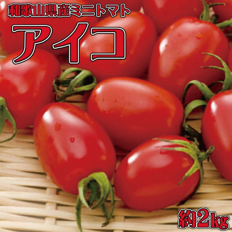 【ふるさと納税】和歌山産ミニトマト「アイコトマト」約2kg（S・Mサイズおまかせ）［TM109］ | 和歌山 由良 和歌山県 由良町 和歌山県由良町 楽天ふるさと 納税 取り寄せ お取り寄せ グルメ お取り寄せグルメ ご当地 ご当地グルメ トマト ミニトマト 野菜
