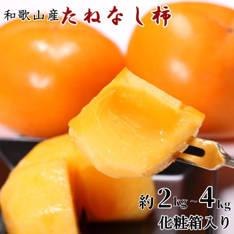 【ふるさと納税】【秋の味覚】和歌山産たねなし柿2L～4Lサイズ 【容量選べる】約2kg / 約4kg（化粧箱入り）★2025年9月中旬頃より順次発送【TM39】