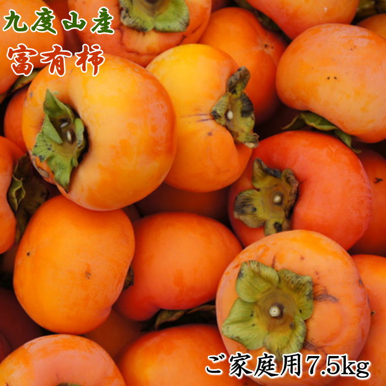 【ふるさと納税】≪柿の名産地≫九度山の富有柿約7.5kgご家庭用★2026年中月上旬頃より順次発送【TM1】｜和歌山県由良町