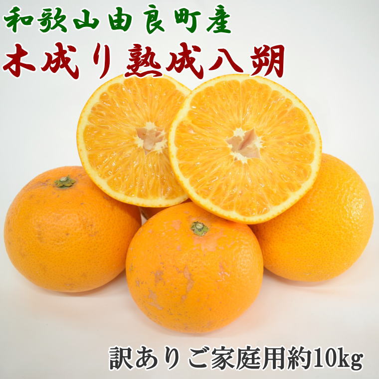 【ふるさと納税】【先行予約】【産直】【2026年先行予約】和歌山由良町産の木成り熟成八朔訳ありご家庭用約10kg（サイズ混合）※2026年3月中旬～2026年4月中旬頃順次発送【TM134】 |   八朔 はっさく 熟成 家庭用 10kg 訳あり サイズ混合 サイズおまかせ 産地直送 由良町