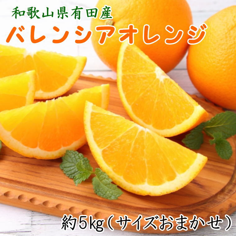 【ふるさと納税】和歌山県有田産バレンシアオレンジ約5kg（サイズおまかせ）★2025年６月下旬より順次発送予定【TM52】