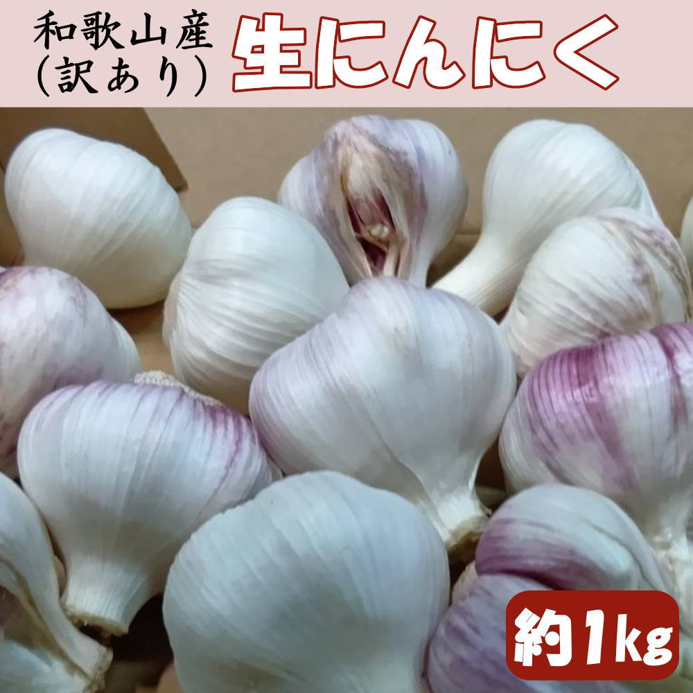 【ふるさと納税】和歌山県産 生にんにく 約1kg　ご家庭用 / 和歌山 ニンニク ※2027年4月下旬～5月中旬頃に順次発送（お届け日指定不可）｜和歌山県由良町