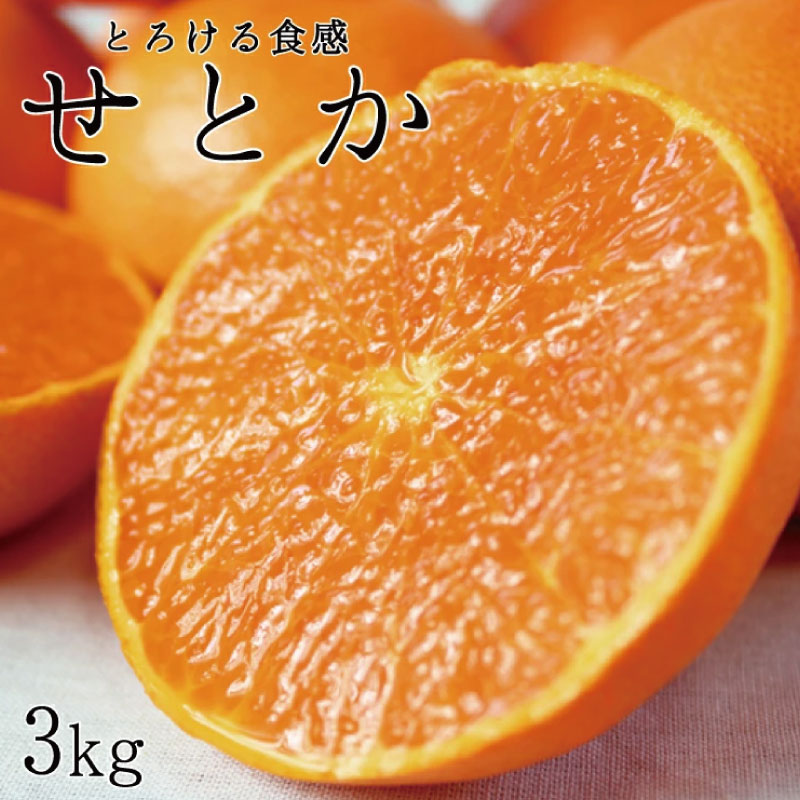 【ふるさと納税】 【先行予約】 とろける食感！ジューシー柑橘 せとか 3kg / みかん甘い 高級 和歌山 柑橘 ※2027年2月下旬頃～3月中旬頃発送(お届け日指定不可) ※離島への配送不可｜和歌山県由良町