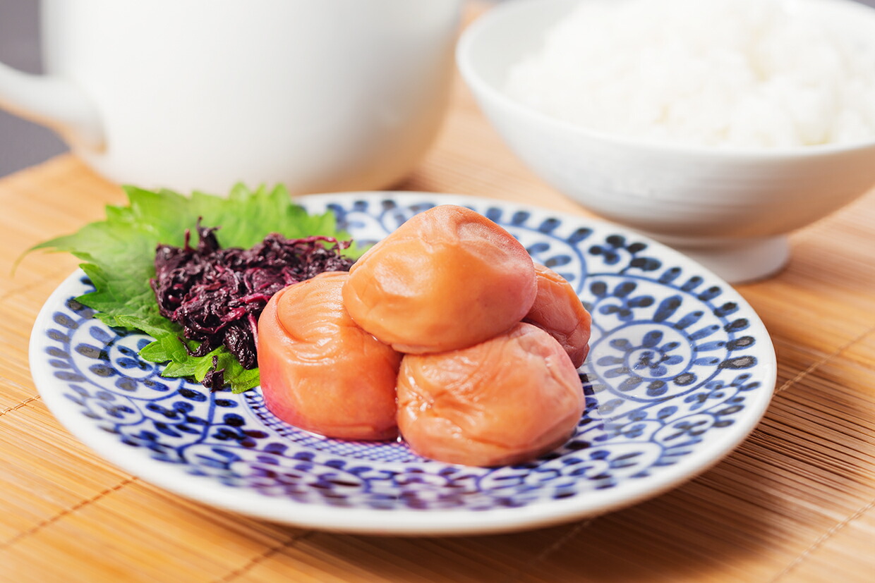 【ふるさと納税】紀州南高梅 しそプレミアム塩分約6％ 500g ［YM13］ | 梅干し 梅 食品 加工食品 人気 おすすめ 送料無料｜和歌山県由良町