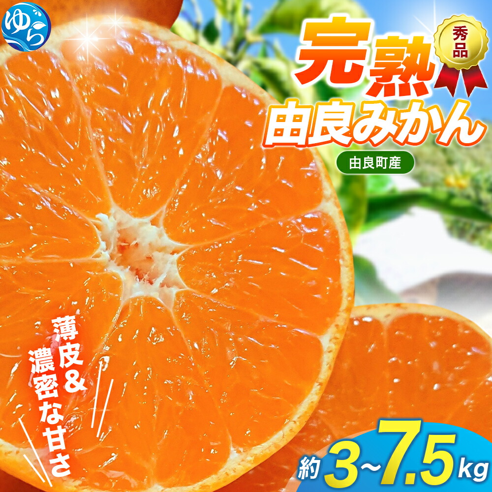 みかん 楽天市場】【ふるさと納税】 みかん 完熟 こつぶ 由良 / 温州