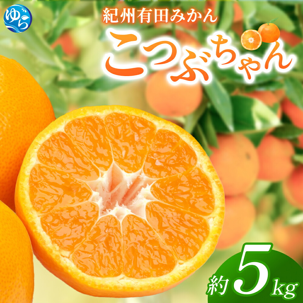 【ふるさと納税】 紀州 有田 みかん こつぶちゃん 5kg / 温州みかん 有田みかん 甘い 和歌山 柑橘 ※2026年11月下旬~2027年1月中旬頃順次発送予定|和歌山県由良町