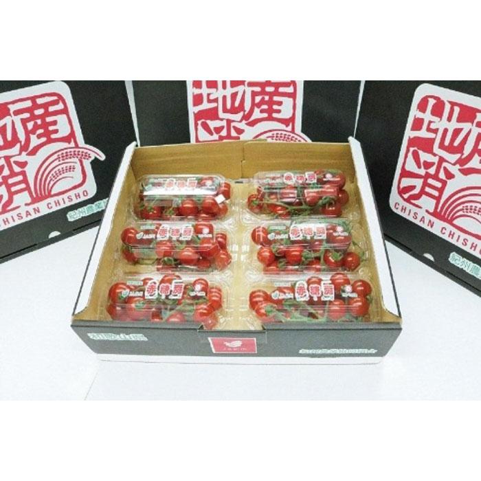 【ふるさと納税】【先行予約】赤糖房（ミニトマト）【160ｇ×6パック】 | 和歌山県 印南町 和歌山 返礼品 支援 支援品 楽天ふるさと 納税 お取り寄せグルメ 取り寄せ グルメ ミニトマト トマト 野菜 やさい 新鮮野菜 新鮮 おいしい 美味しい ご当地 特産品