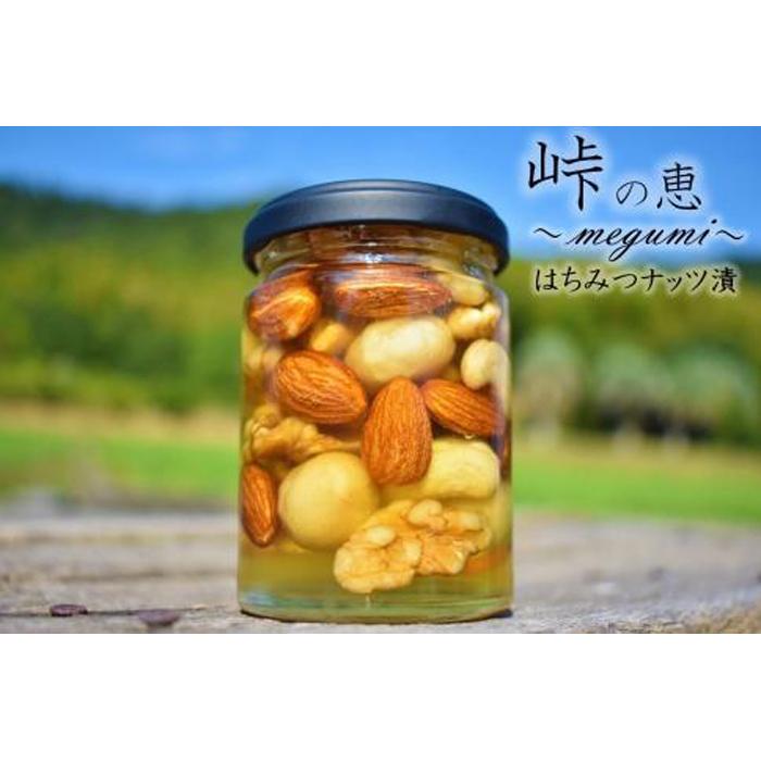 【ふるさと納税】ナッツの蜂蜜漬【峠の恵】熊野古道 峠の蜂蜜×ナッツ 【SW8】 | 和歌山県 印南町 和歌山 返礼品 支援 支援品 ふるさと 納税 お取り寄せグルメ 取り寄せ グルメ はちみつ 蜂蜜 ハチミツ 蜂蜜漬け お土産 おみやげ