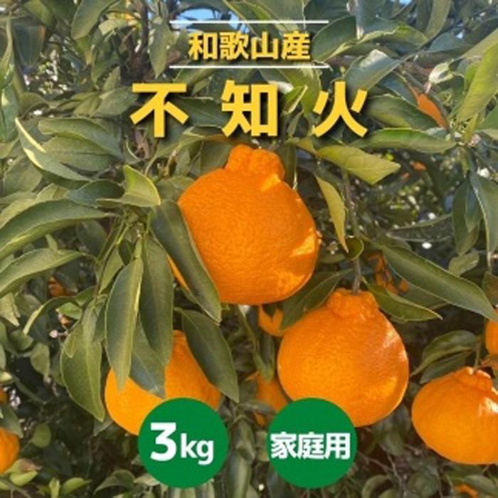 和歌山産 不知火 約3kg 在庫処分