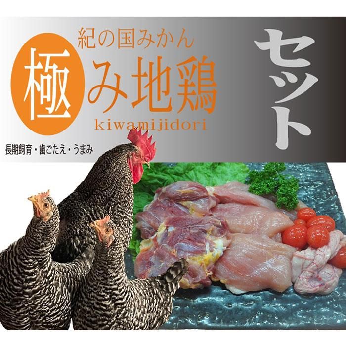 【ふるさと納税】紀の国みかん極み地鶏セット｜和歌山県印南町