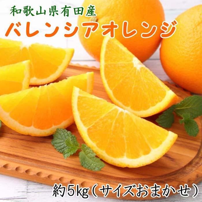 【ふるさと納税】和歌山県有田産バレンシアオレンジ約5kg（サイズおまかせ）★2025年６月下旬より順次発送予定【TM52】