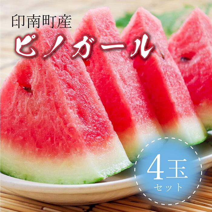 【ふるさと納税】種まで食べられるスイカ！印南町産 ピノガール【4玉セット】 | 先行予約 果物 ピノガール すいか スイカ 小玉スイカ  和歌山県印南町産 旬 フルーツ くだもの