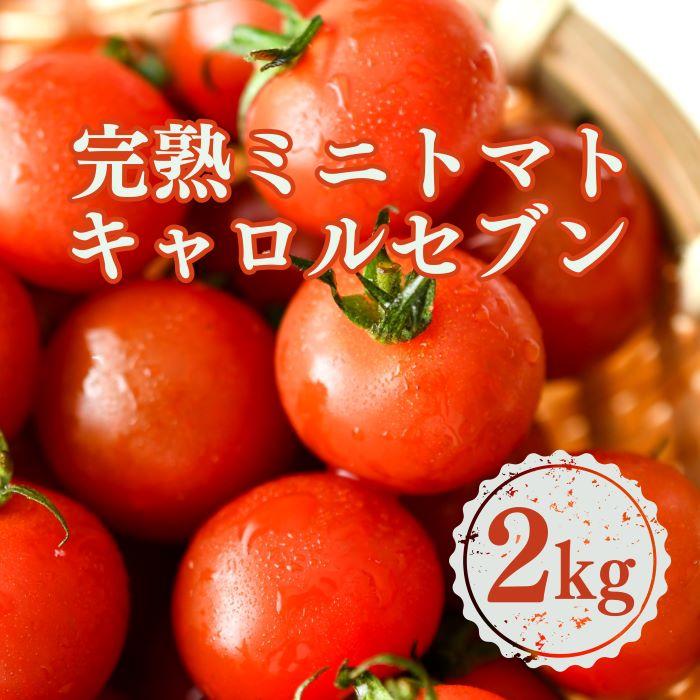 【ふるさと納税】完熟 ミニトマト 2kg  果物のような甘さと美味しさキャロルセブン｜ミニトマト キャロルセブン 糖度 | ミニトマト キャロルセブン 完熟 2kg 甘い 産地直送 トマト 野菜 やさい 食品 人気 おすすめ 送料無料 お取り寄せ 和歌山 印南町 楽天ふるさと納税