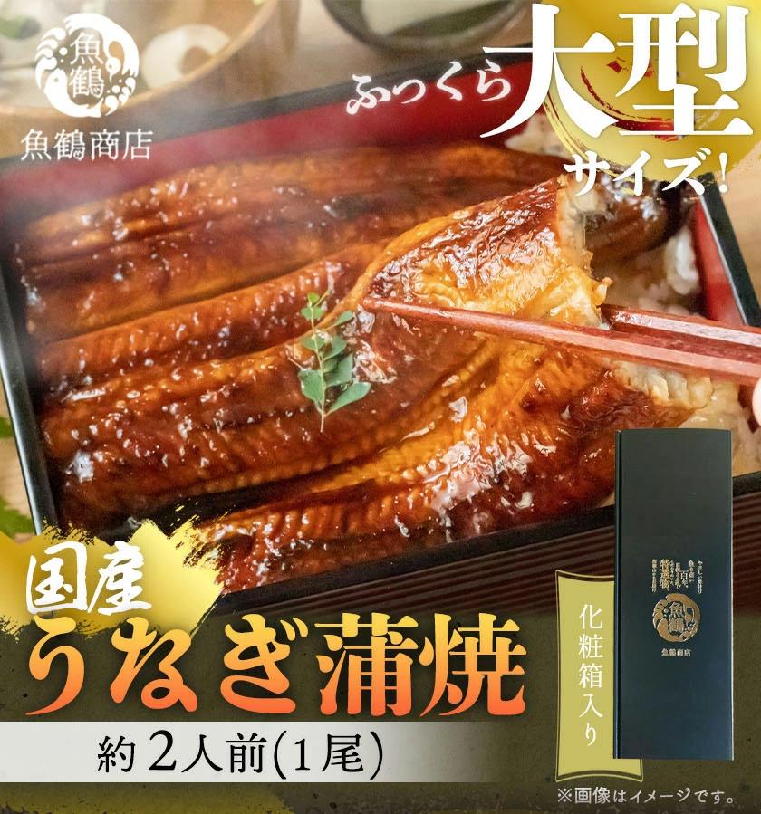 【ふるさと納税】大型サイズ 　ふっくら柔らか国産うなぎ蒲焼き　１尾（約２人前）化粧箱入 | 和歌山県 印南町 和歌山 返礼品 ふるさと お取り寄せグルメ 取り寄せ グルメ 魚介 うなぎ 国産 ウナギ 鰻 鰻の蒲焼き 蒲焼 国産うなぎ 蒲焼き 国産鰻 国産ウナギ 日本産 冷凍