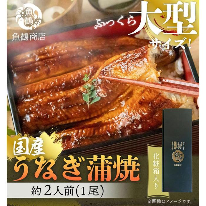 【ふるさと納税】大型サイズ　ふっくら柔らか　国産うなぎ蒲焼き　１尾（約2人前）化粧箱入［春土用の丑の日のうなぎ］［～4月21日までにお届け］［UT04］ | 鰻 魚介類 水産 食品 人気 おすすめ 送料無料