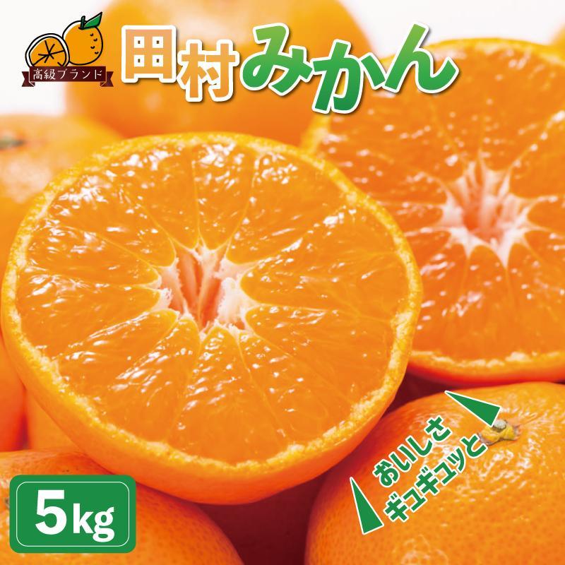 【ふるさと納税】高級ブランド田村みかん　5kg［2026年11月下旬以降発送］［先行予約］［UT14］ | 和歌山 返礼品 ふるさと 納税 取り寄せ グルメ フルーツ 果物 くだもの みかん ミカン 蜜柑 柑橘 柑橘類 かんきつ かんきつ類 田村みかん 家庭用 自宅用｜和歌山県印南町