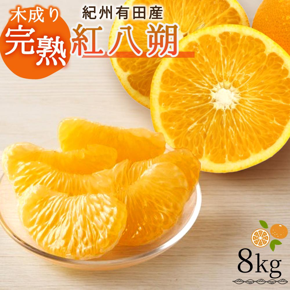 【ふるさと納税】紀州有田産木成り完熟紅八朔8kg［先行予約］［UT62］ | フルーツ 果物 くだもの 食品 人気 おすすめ 送料無料｜和歌山県印南町