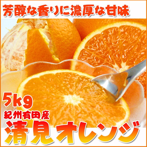 【ふるさと納税】とにかくジューシー清見オレンジ　5kg［2026年3月下旬以降発送］［先行予約］［UT53］ | 和歌山県 印南町 和歌山 返礼品 支援 楽天ふるさと 納税 お取り寄せグルメ 取り寄せ グルメ フルーツ 果物 くだもの 清見オレンジ 柑橘
