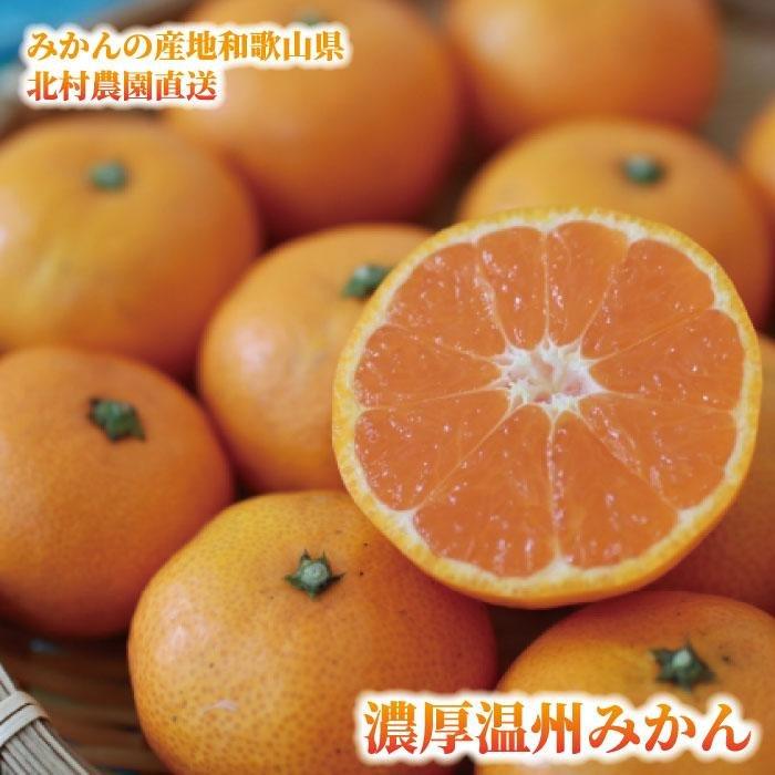 【ふるさと納税】先行予約【2026年11月下旬より発送】濃厚温州みかん贈答用7.5kg（和歌山天田みかん）みかんの産地和歌山　北村農園直送｜和歌山県印南町