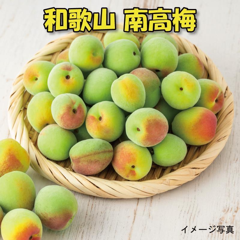 【ふるさと納税】【梅干・梅酒用】（LまたはM－2Kg）熟南高梅＜2025年6月上旬～7月7日発送予定＞フルーツ 果物 くだもの 食品 人気 おすすめ 送料無料【ART07】