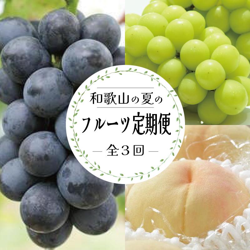 【ふるさと納税】定期便全3回 【7月・8月・9月発送】 和歌山のフルーツをお届け（桃・たねなしピオーネ・シャインマスカット）【TM180】 | フルーツ 果物 くだもの 食品 人気 おすすめ 送料無料 定期便 産地直送