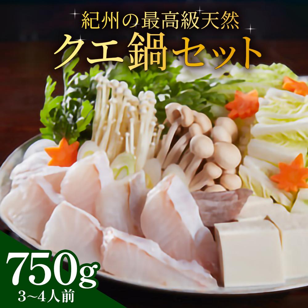 【ふるさと納税】紀州の最高級天然クエ鍋セット 750g《3～4人前》 | クエ 鍋 魚介類 水産 食品 人気 おすすめ 送料無料