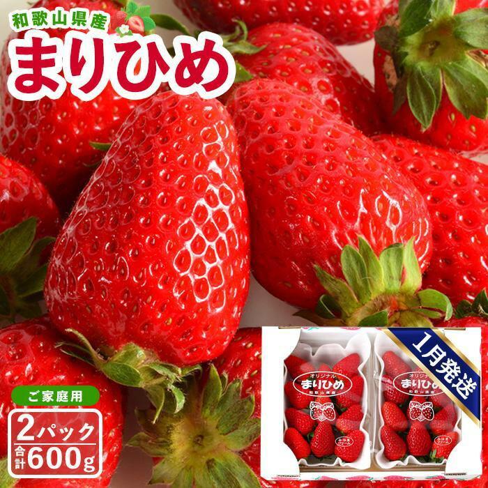 【ふるさと納税】【ご家庭用（簡易包装）】和歌山県産まりひめ 1箱（2パック入り）【2026年1月お届け】［MG59］ | フルーツ 果物 くだもの 食品 人気 おすすめ 送料無料