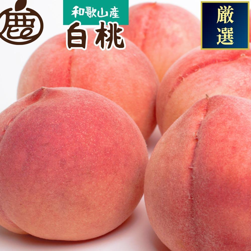 【ふるさと納税】【選べる容量】＜7月発送＞和歌山の厳選白桃 約0.75kg～4kg［白鳳・清水白桃・川中島・もも・はくとう］［化粧箱入り］［IKE16］ | もも 桃 清水白桃 白鳳 甘い ふるさと納税 和歌山 先行予約 果物 品種 送料無料 産地直送 絶品 濃厚 特産品