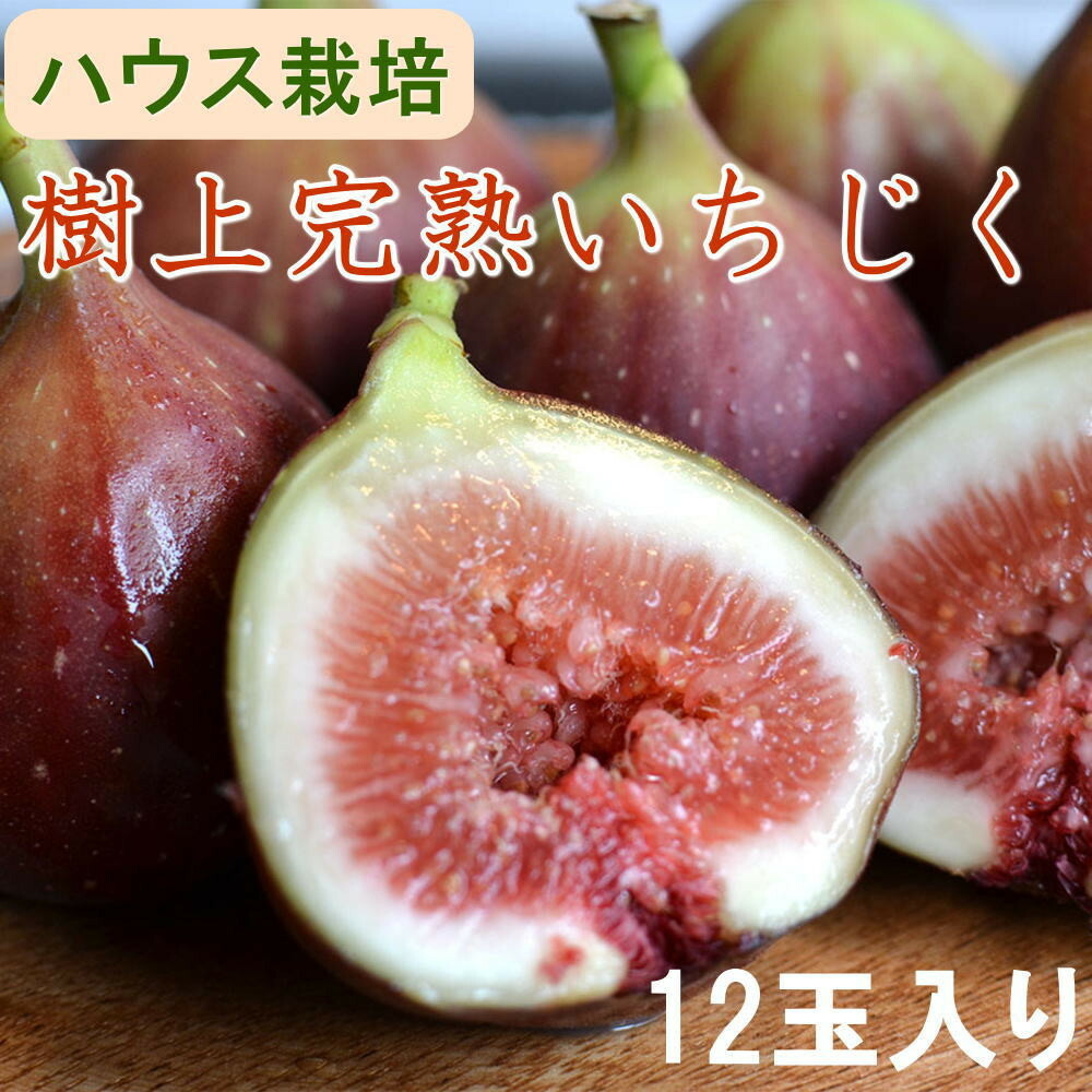 【ふるさと納税】［ハウス栽培］和歌山県産 樹上完熟 いちじく 12玉入り ★2025年8月より順次発送 ［TM207］ | フルーツ 果物 くだもの 食品 人気 おすすめ 送料無料